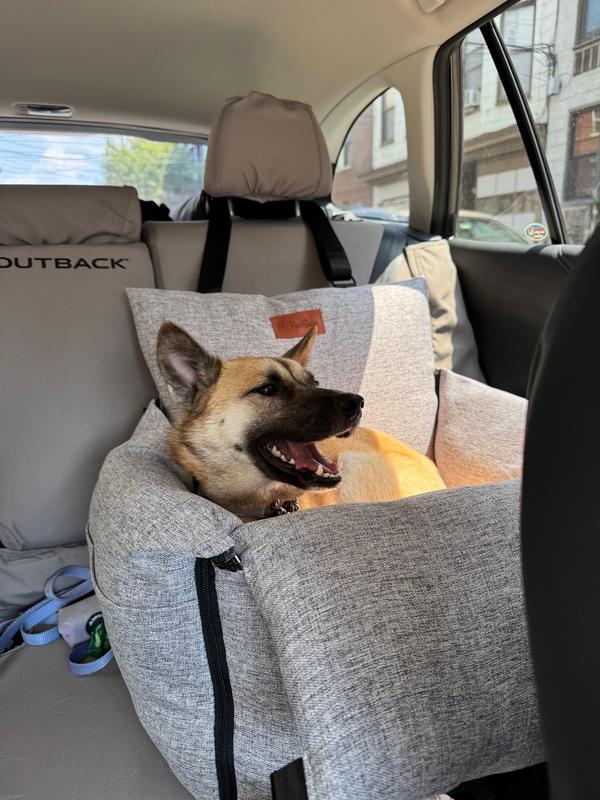 Happy and comfy in her new car seat!