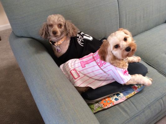 Coco & Charlie