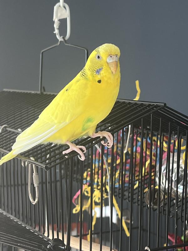 She loves exploring. Be careful and supervise