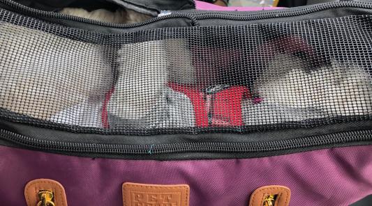 Fell asleep in the bag.