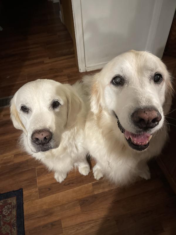 Max&Zoe will do anything for them