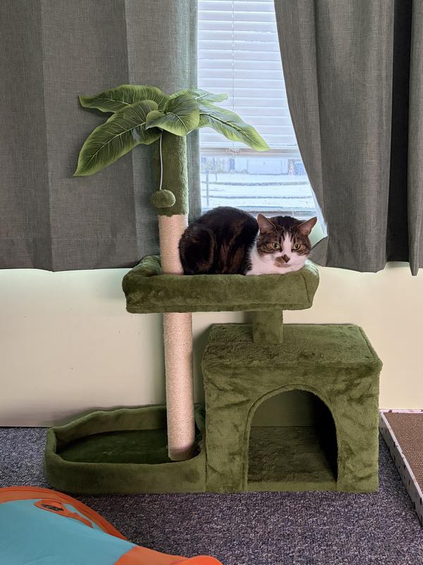 For Punky size and smaller