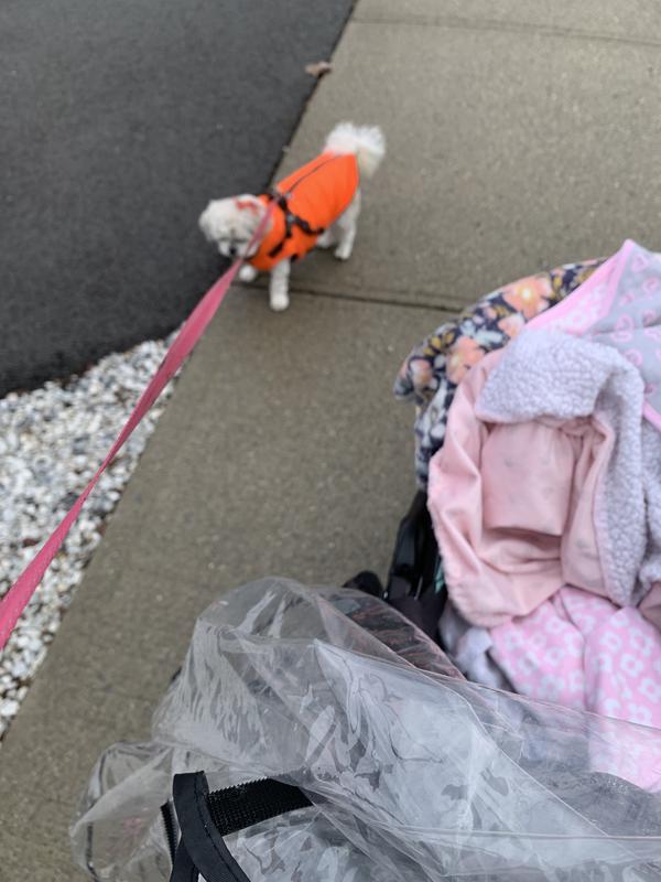 Frisco Small Animal Cage