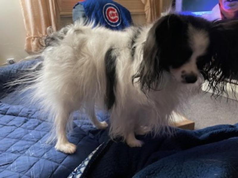 Before -- note the static-induced frizz at rear