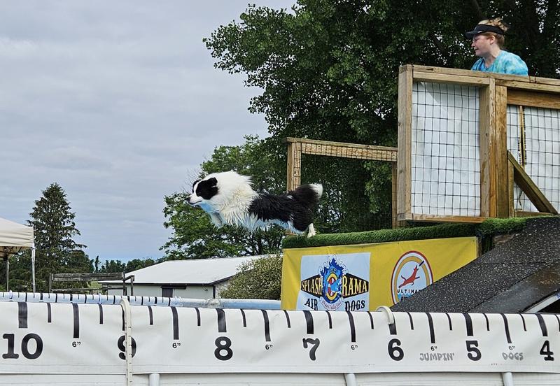 Ollie jumps for joy!