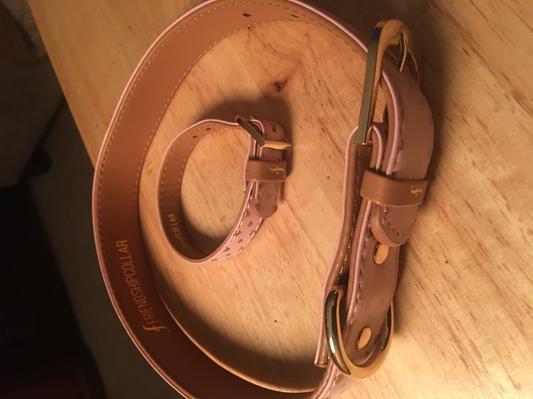 Runs Small (large collar)