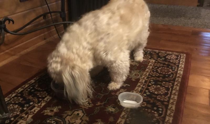 Daisy says Mmm…Mmm… Dee-Licious!