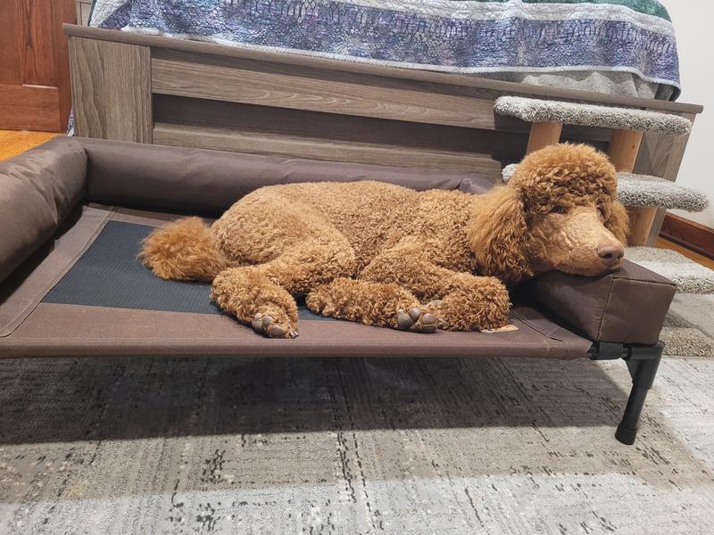 K H PET PRODUCTS Original Bolster Pet Cot Elevated Dog Bed Chocolate Large Chewy