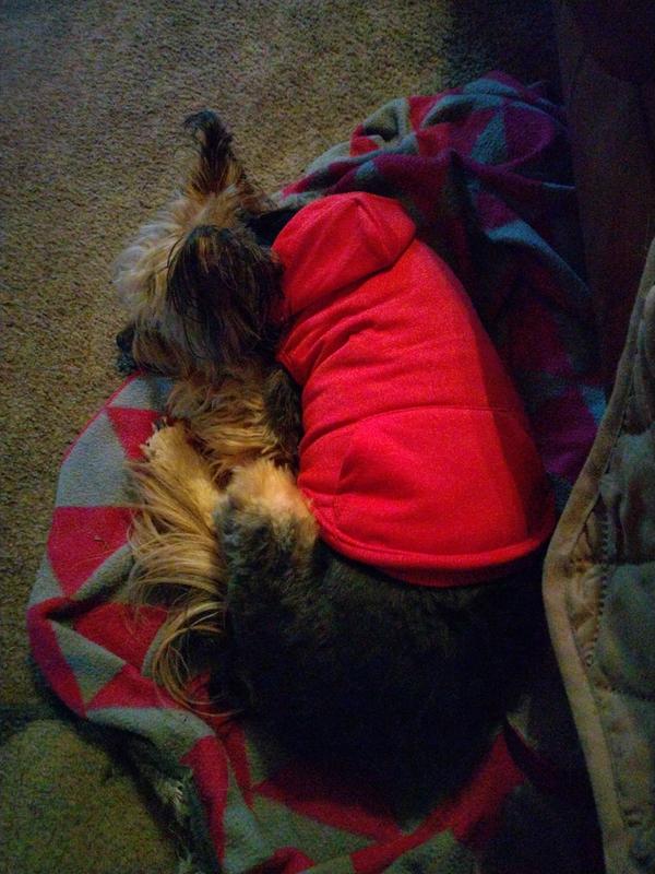 CJ in his red hoodie ♥️