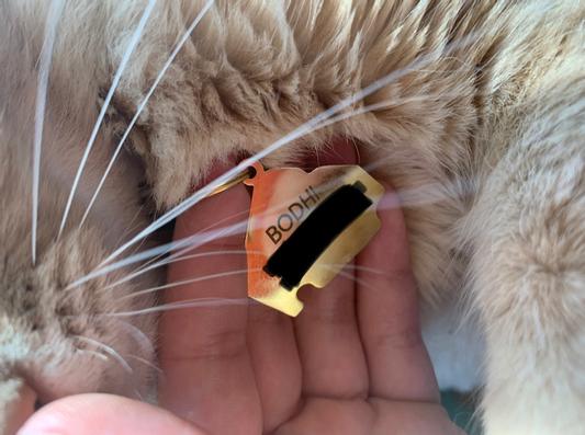 The engraving. Blocked out 2 lines of contact info for privacy reasons