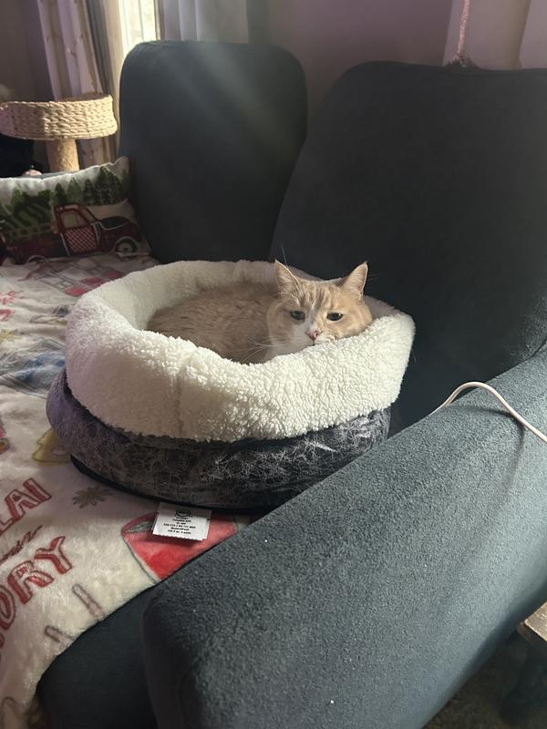 Our cat enjoying his warm bed