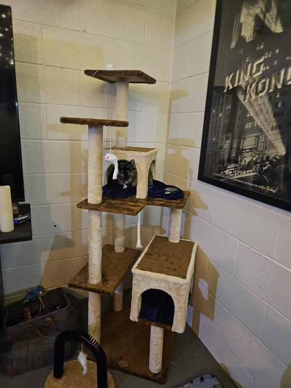 Perfect sized cat tower