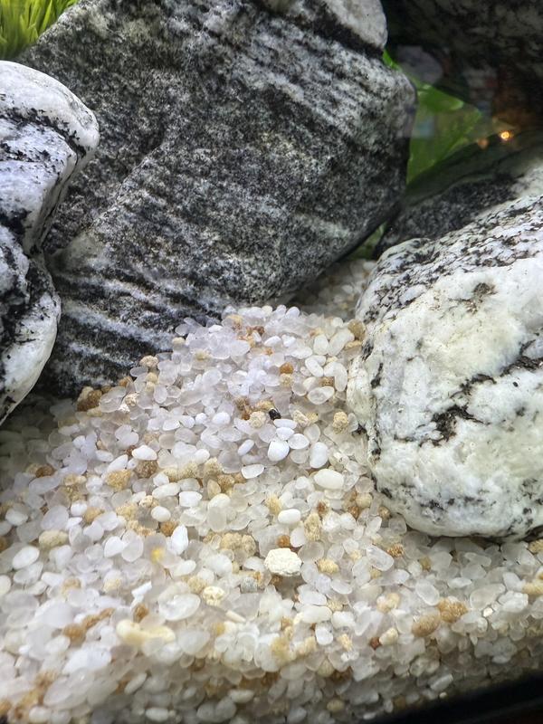 Beautiful and Beachy!