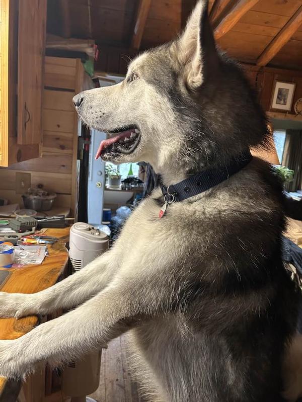 Just had FIRST BirthDay!!!!