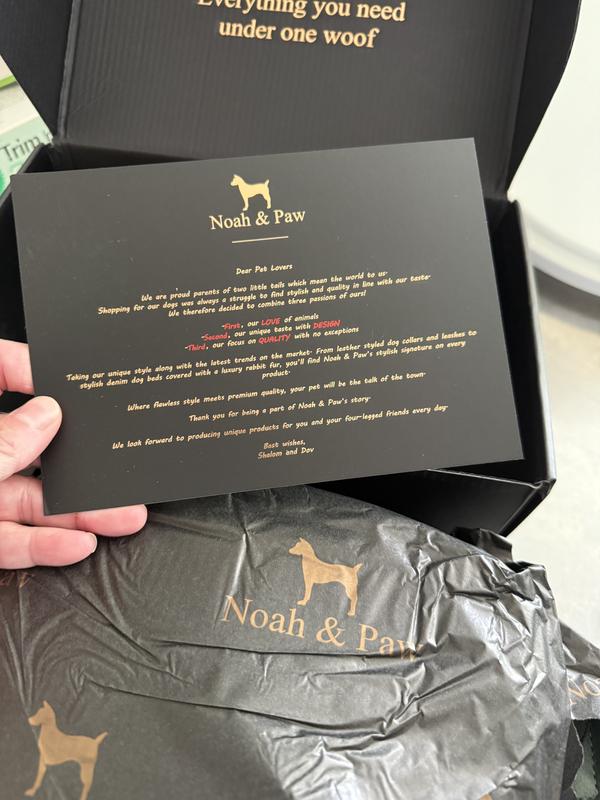 Sophia looking a little scruffy but ready to Model!