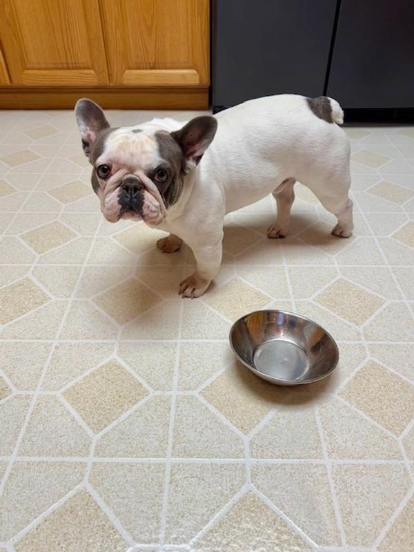 Empty dish and a full belly!