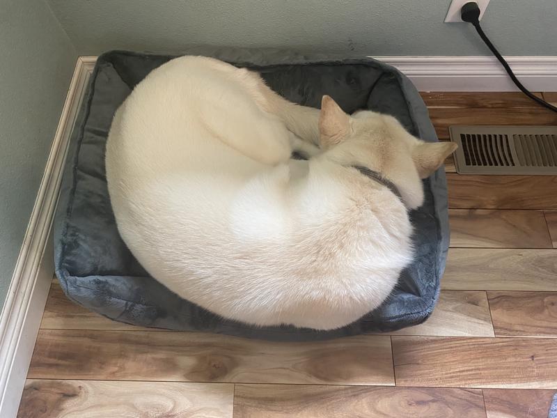 Nice bed, but not large