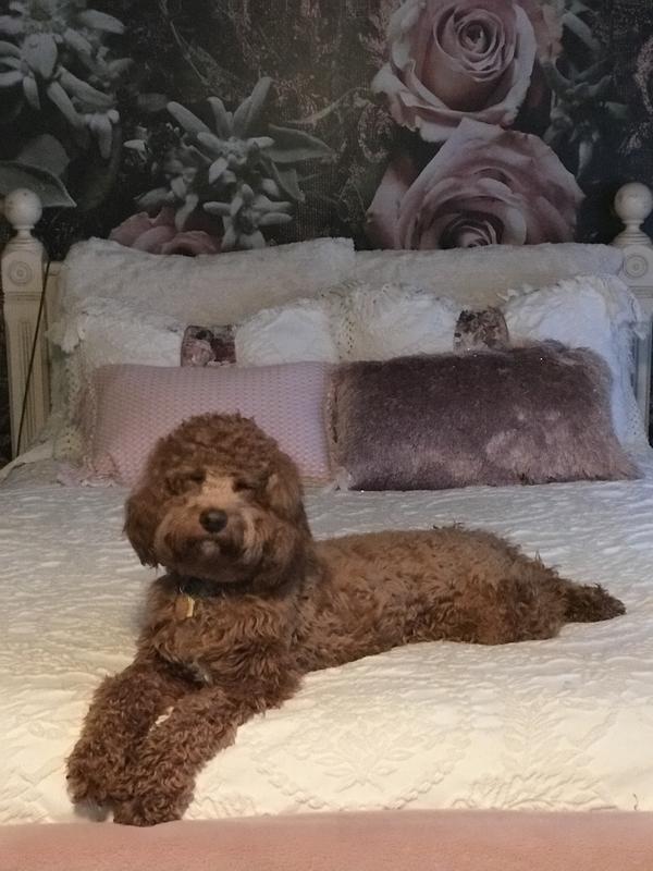Positively pampered