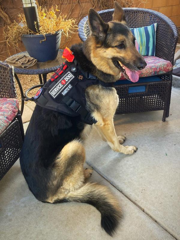 ONETIGRIS FIRE WATCHER 2.0 No Pull Dog Harness, Grey, X-Large: 31