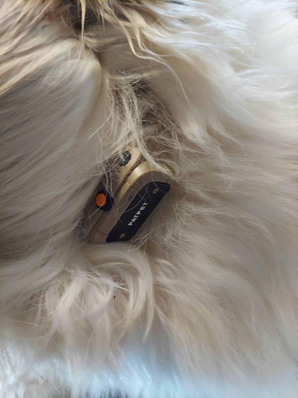 PATPET P930 APP Bluetooth & Rechargeable Remote Training Dog Collar