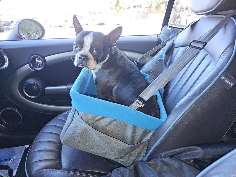 She was not sure at first