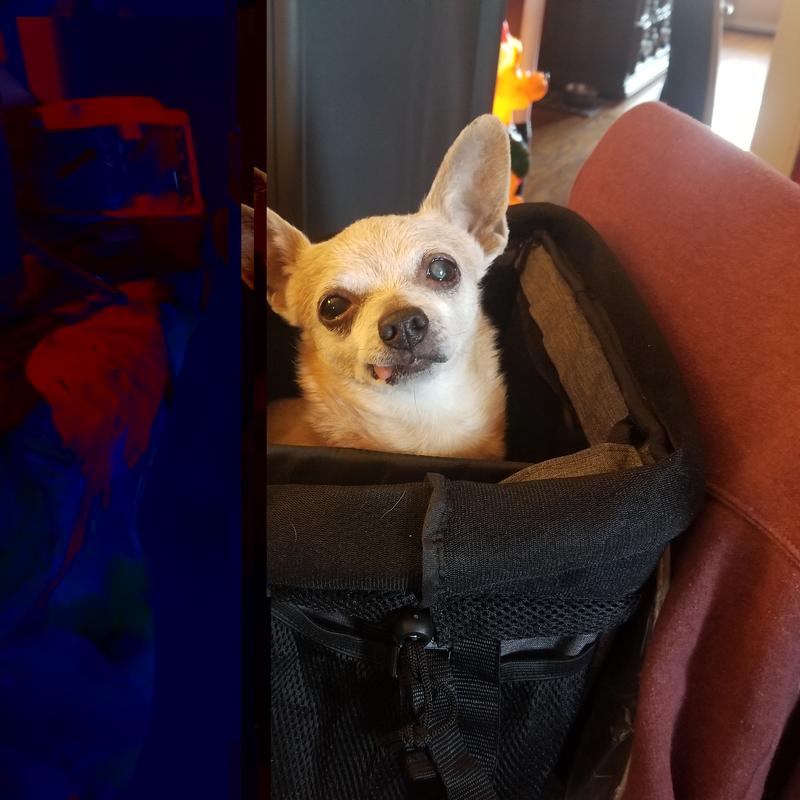 Snug as a bug in a rug