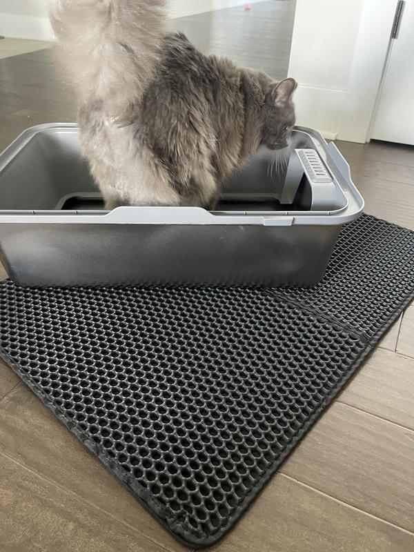 My kitty couldn’t even wait until it was set up to get in it!