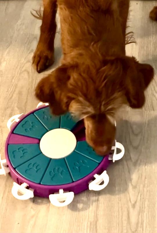 Nina Ottosson Dog Twister Interactive Treat Puzzle Dog Toy, Purple - Level  3 (Advanced)