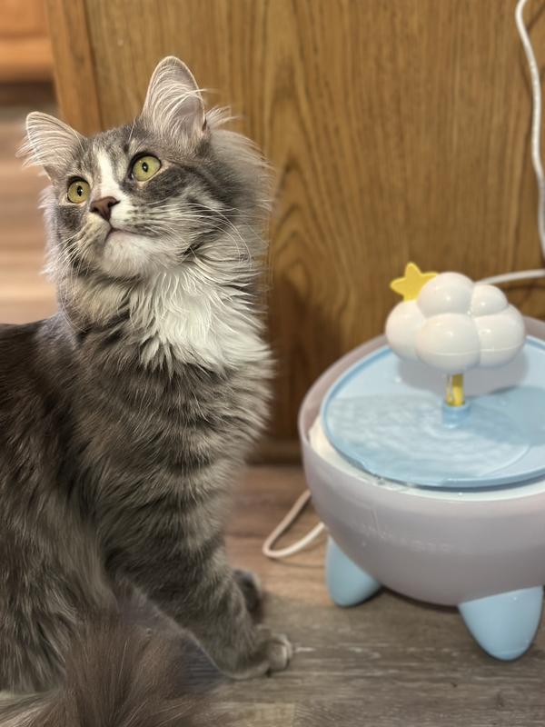 anti cat scent for litter box Smell Ya Litter: Pet~Pourri's Litter Box Deodorizer