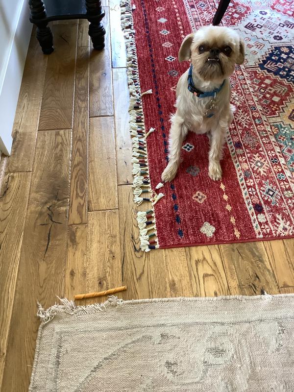 Rug has been saved.