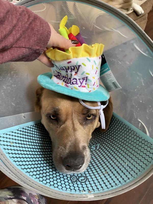 A bit too small but well made.