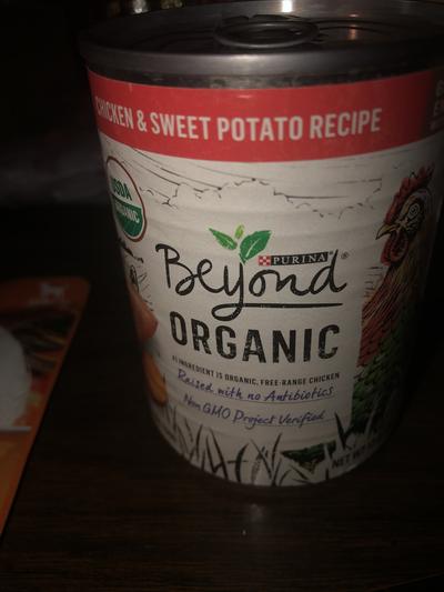 Discontinued - PURINA BEYOND Organic Chicken & Sweet Potato Recipe Wet Dog  Food, 13-oz can, case of 12 - Chewy.com