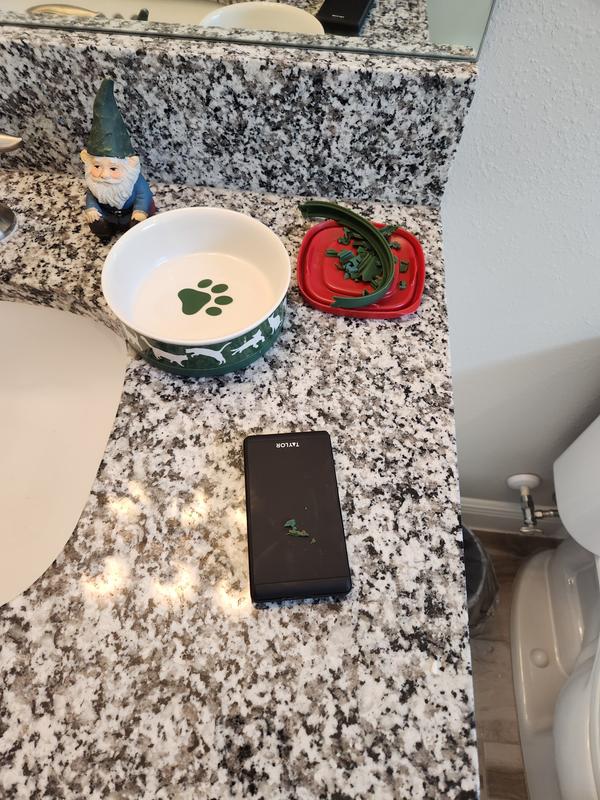Undamaged silicone ring on my food scale, chewed and eaten silicone ring off the bottom