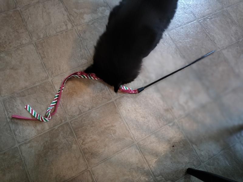 Investigation of new toy!