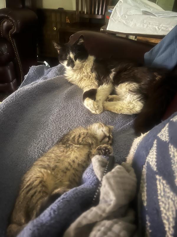 18 yo on his heating pad. Lovely boy and the new baby.