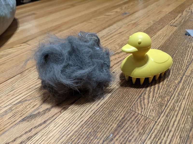 FRISCO Rubber Duck Cat & Dog Curry Brush