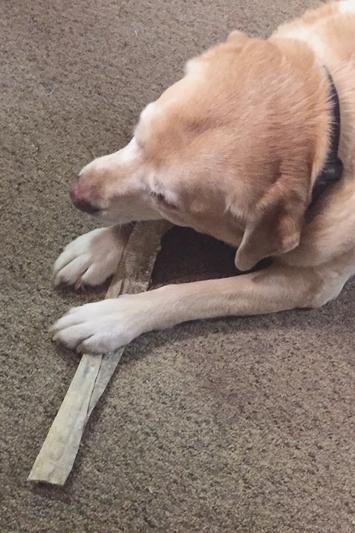 Icelandic Long cod skin