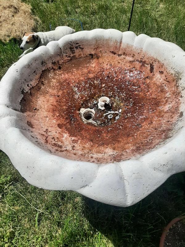 MICROBELIFT SoyBased Birdbath & Statuary Cleaner, 32oz bottle