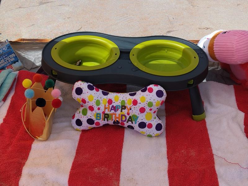 Perfect for birthday cabana!!!