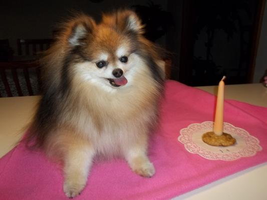 Our 14 year old Angel