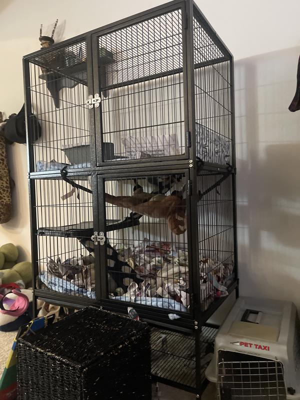 it is not fully set up the way I’d like it yet but still rlly good