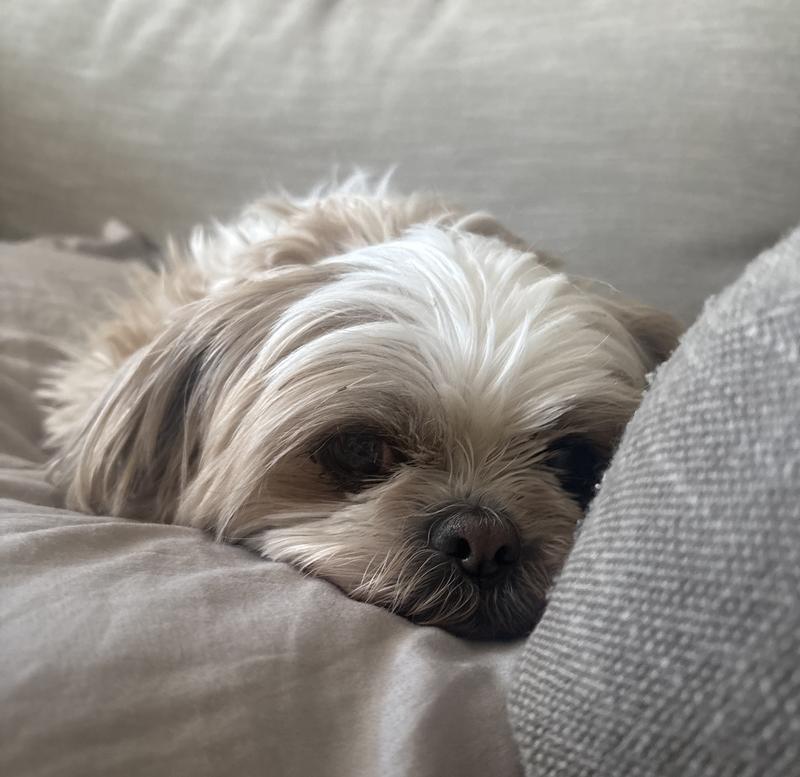 Zoe happy and healthy