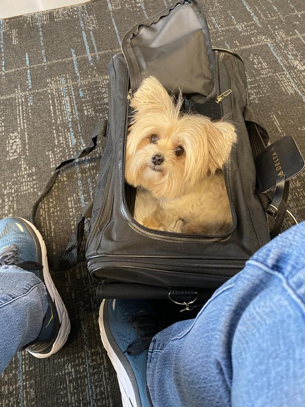 Are we almost home, Mama?