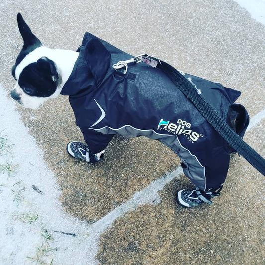 Helios blizzard dog on sale jacket