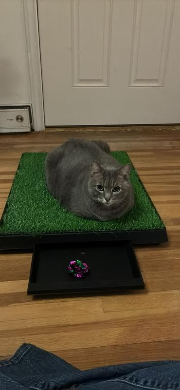 Hetty used it as a play mat and we stored small toys in it .