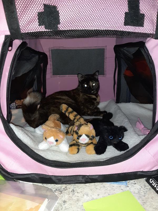 Hildegard with her "kittens"