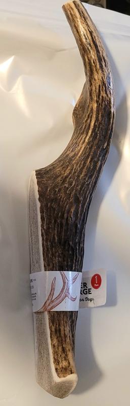 Antler 1