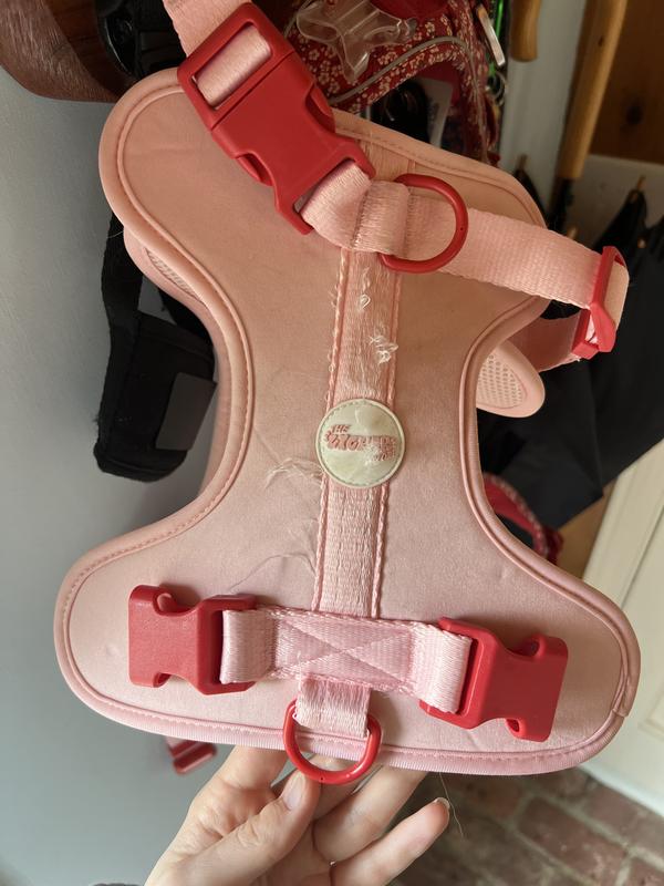 Stitching already coming apart after arriving yesterday