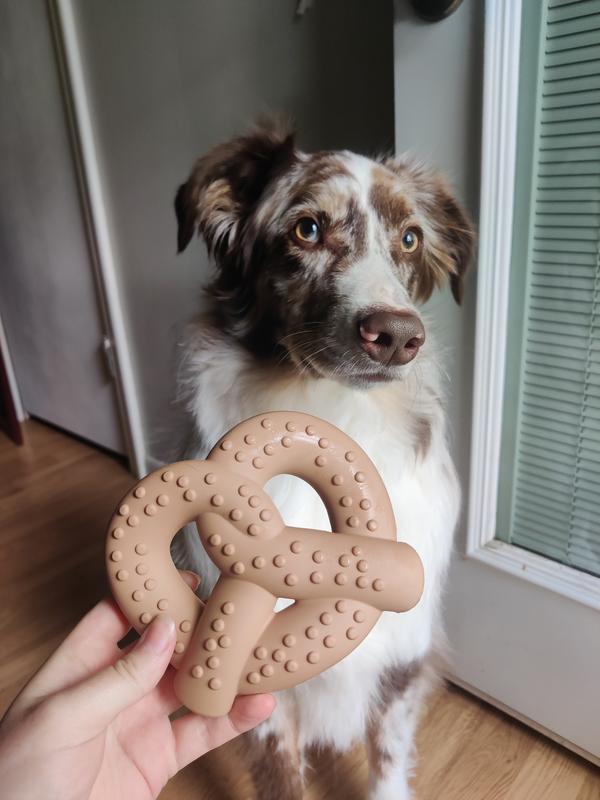 Frisco Peanut Butter Flavored Pretzel Rubber Chew Dog Toy for Heavy Chewers
