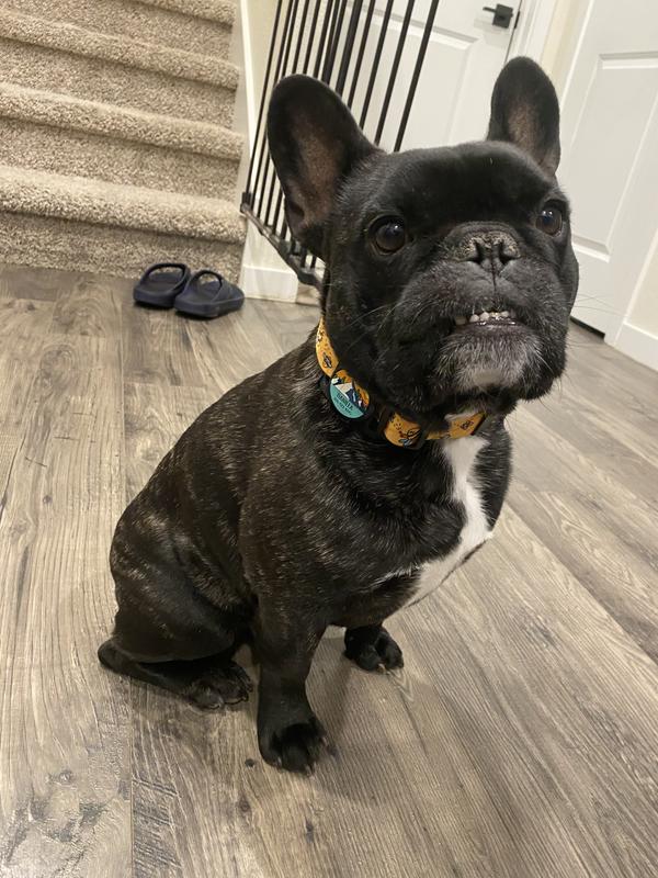 Fits nice and snug !